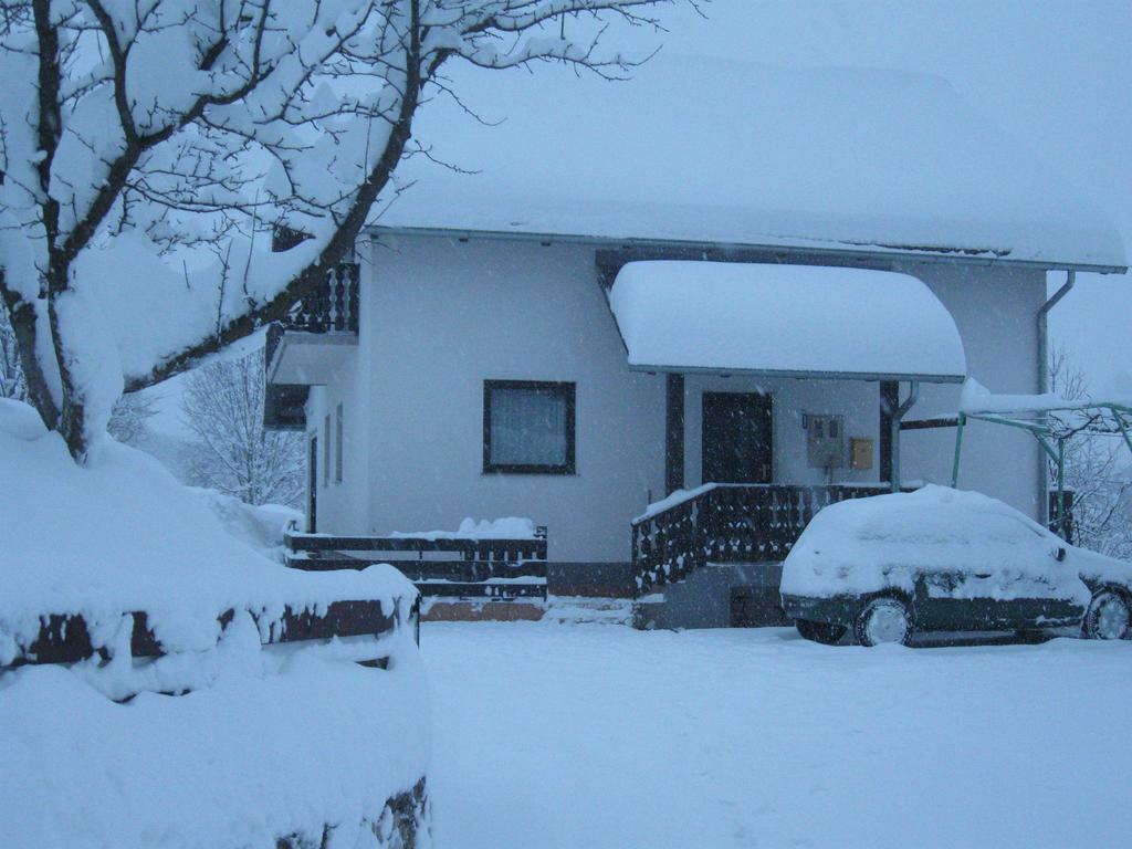Apartments Dale Smoljanac Exterior photo